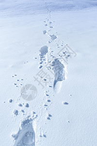 滚雪球雪地里有脚印的冬天背景背景