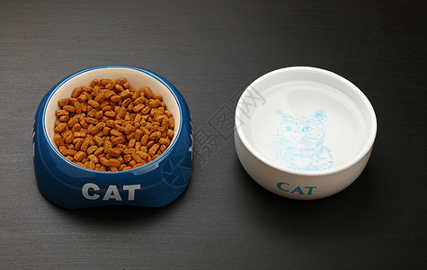 黑地板碗中的干猫食物和水动物草图盘子饮食制品小吃猫科营养时间吃饭背景图片