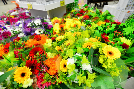 不同颜色菊有很多不同花的花束叶子香气礼物仪式植物群生长收藏气味惊喜菊花背景