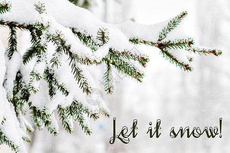 树枝带字素材绿色的圆木 满是积雪和碑文庆典问候语季节树枝针叶树枝条假期降雪森林松树背景