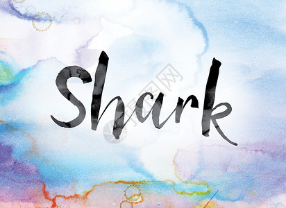 手绘长尾鲨鲨鱼彩色水彩和墨水字艺术背景