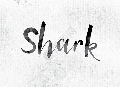 手绘长尾鲨在墨水中绘画的鲨鱼概念背景
