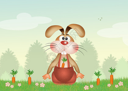 胡萝卜兔子吉祥物插图快乐耳朵农场动物草地背景图片