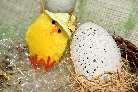 鸡蛋装饰在篮子里黄色假期巧克力白色插图小鸡玩具动物季节性庆典背景图片