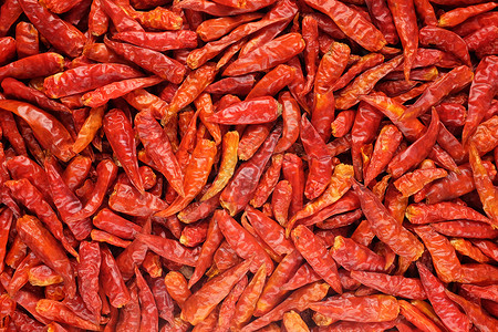 鸟眼寒冷背景干粮食物香料红色辣椒背景图片