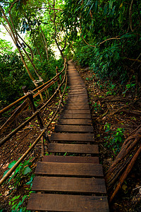 森林木制悬浮桥山上木木板的通道背景