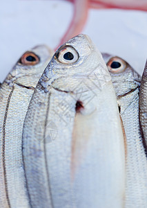 摩洛哥市场上销售的新鲜鱼和其他海产食品已准备就绪奢华维生素海洋对虾钓鱼餐厅资源营养港口饮食卖高清图片素材