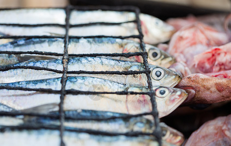 为在Essaouira鱼市上烧烤准备的新鲜沙丁鱼海高清图片素材