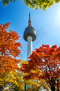 韩国南山塔看法风景优美的高清图片