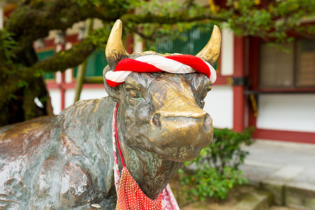 神社的公牛雕像学者奶牛神道吸引力教育斑块寺庙木头地标旅行背景