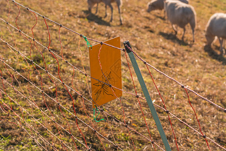 隔离器警告信号 威德赞在掌权之下安全邮政家畜农业工作围栏电缆草地细绳牛奶背景