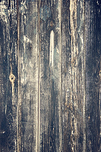 旧的脏木墙 照片松树高清图片素材