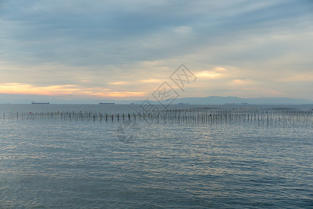 养鱼业海岸天际水产天空海洋养殖海浪环境海景宠物背景