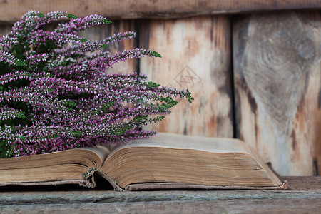 艾琳希瑟顿希瑟的旧书背景杂志风格古董植物秘密生活白色乡村蓝色日记背景