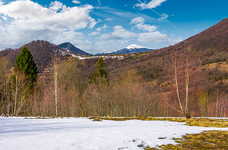 春天即将到来雪山林地森林起源顶峰爬坡公园资源风化场景环境背景图片