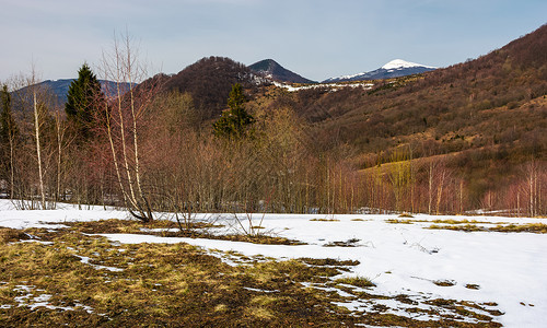 春天即将到来雪山起源伴奏资源林地公园植物顶峰爬坡环境森林背景图片