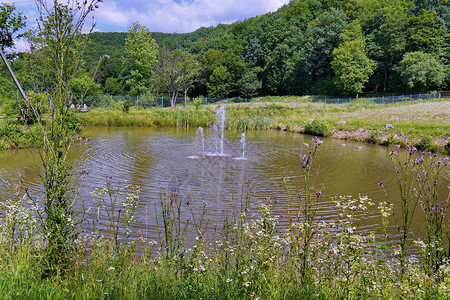 巴松错的小野花一个小池塘 池塘中间长满了杂草丛生的野花和喷泉 一个炎热的夏日 人们坐在他旁边的长凳上休息背景