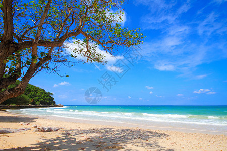 维桑海滩泰国巴塔亚的Sangwan海滩天堂游客支撑风景天空热带海浪海洋墙纸季节背景