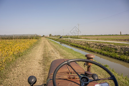 老式拖拉机驾驶拖拉机方向盘乡村培育双手轮子工作农业图片农村背景