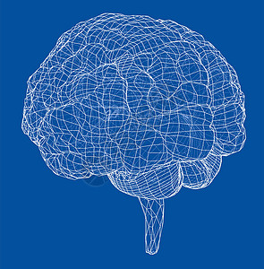 包含脑图3D 轮廓布莱大脑智慧绘画解剖学神经皮层3d标签知识分子心理学背景