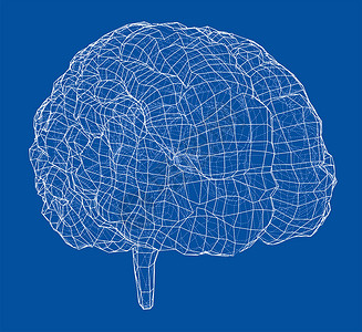 包含脑图3D 轮廓布莱头脑科学神经器官绘画病学皮层艺术思考3d背景