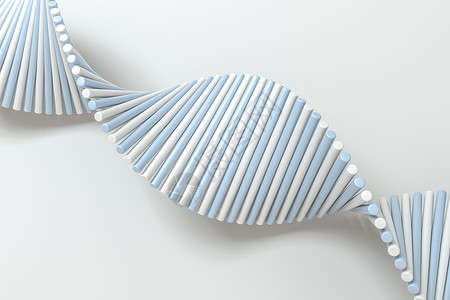 线条鲸鱼3d 渲染螺旋 DNA 由线条组成化学代码顺序基因组克隆基因健康科学化学品药品背景