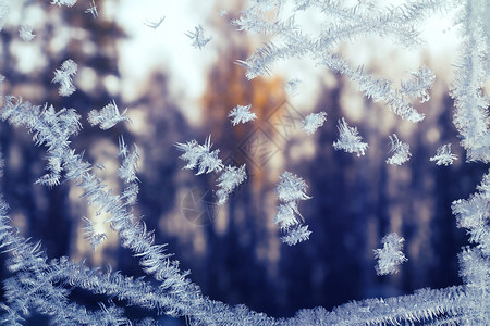 毛玻璃素材日落时森林外冬窗上的霜雪花图案背景