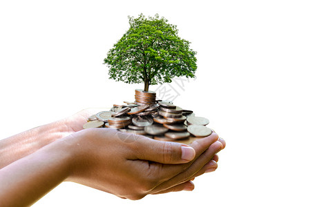 树长在一堆上 为未来存钱 投资理念和业务增长金融高清图片素材