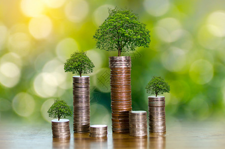 树长在桩上 为未来存钱 投资理念和业务增长 绿色背景与散景太阳生长治理金子银行业繁荣植物储蓄叶子现金商业堆高清图片素材