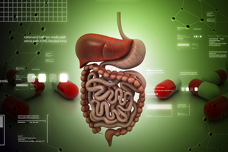 道闸系统人类消化系统解剖学胰腺药品医疗身体图表胆囊原理图肠胃背景