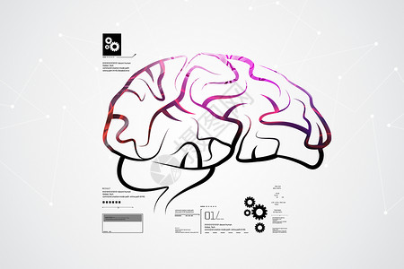 先进人脑人脑结构思考神经心灵感应图表身体大脑科学草图生物皮层背景