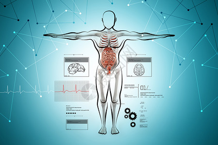 人类身体人体解剖药品男性姿势组织解剖学身体科学x光测试骨干背景