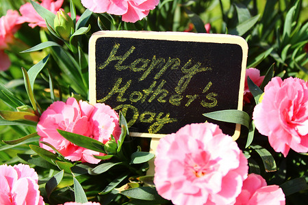 快乐的母亲节日用鲜花问候花朵背景图片