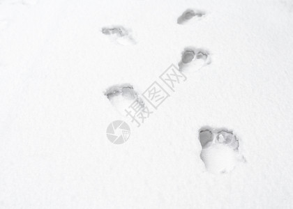 白雪上裸露的人类脚足足迹季节白色模式痕迹雪地人脚雪纹图案脚印背景图片