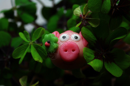 猪你好运立体字带幸运的三叶草中的马西潘猪吉祥物四叶草新年四叶运气好运希望护符背景