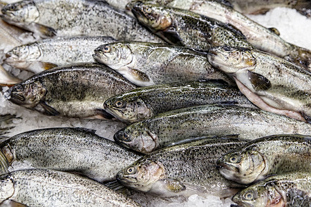 在鱼市暴露的鱼出售给消费者水产零售店铺饮食烹饪美食眼睛养殖营养杂货店特写高清图片素材