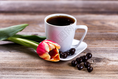 新剪的郁金香 在压力木材上加咖啡和巧克力高清图片