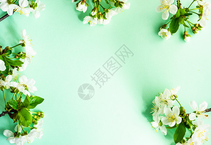 春花边框卡片植物植物群桌子装饰乡村风格绿色框架假期高清图片