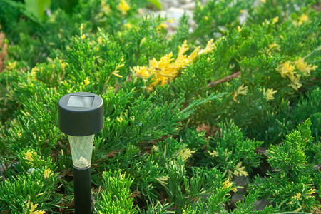 花园手电筒创新风格技术力量绿色装饰花朵白色灯笼材料高清图片