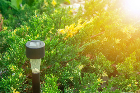 花园手电筒装饰灯笼花朵技术小路绿色创新草地材料院子高清图片