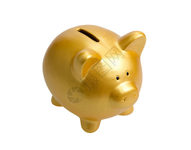金猪银行小猪存钱硬币成功金融财富投资白色储蓄金子背景图片