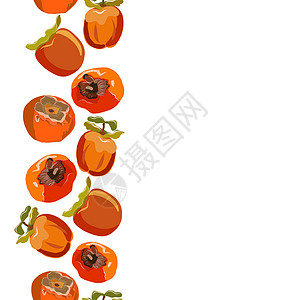 矢量多边形边框Persimmon 手绘制无缝垂直边界矢量插图橙子线条作品剪贴簿食物沙龙饮食柿子种子热带背景