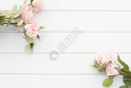 粉色木板热情花的高清图片