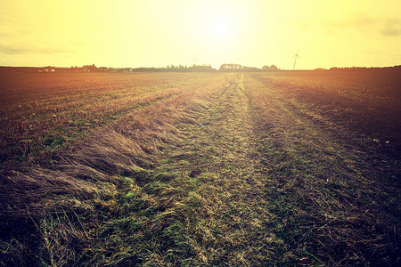 乡村田野和阳光明媚的太阳农业高清图片素材