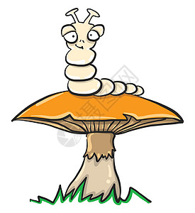 蘑菇上毛毛虫毛虫蘑菇 插图 白底矢量背景