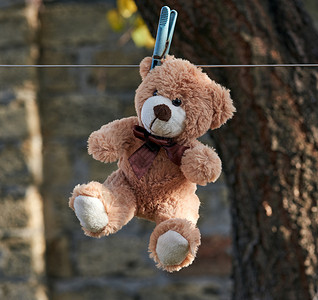夹娃娃老泰迪熊挂在衣绳上衣夹童年动物棕色孩子毛皮玩具乐趣白色娃娃背景