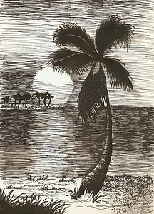 矢量插画狼群与 pal 的矢量热带夏季插画打印叶子海报服装假期情调海洋天堂城市棕榈背景