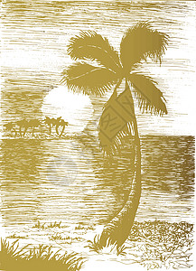 矢量插画狼群与 pal 的矢量热带夏季插画旅行冲浪传单横幅岛屿丛林海滩海报日落情调背景