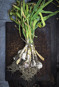 小根蒜棕色木板上的一群小大蒜健康木头白色灯泡植物绿色食物营养蔬菜叶子背景