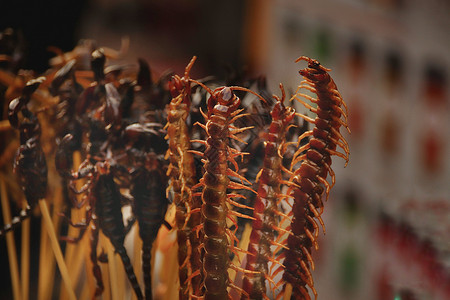 蝎子异国情调的泰国街头食品小吃高清图片